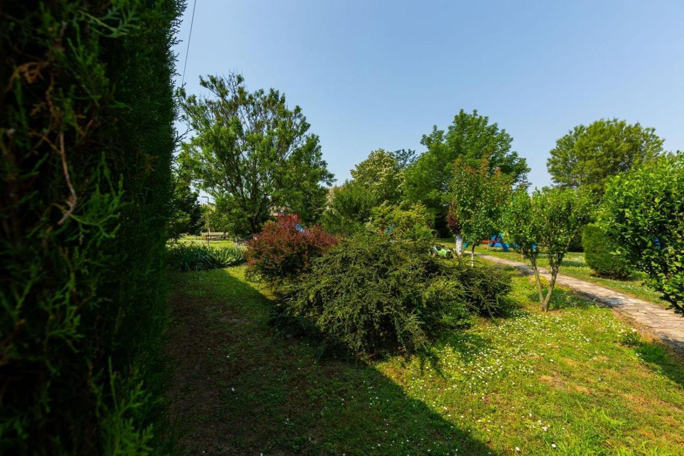 Salas Vujic Becej Exterior photo